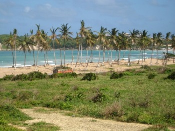 macao-beach-view